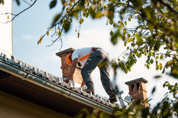 Best Metal Roofing Contractor  in Boulder Creek, CA