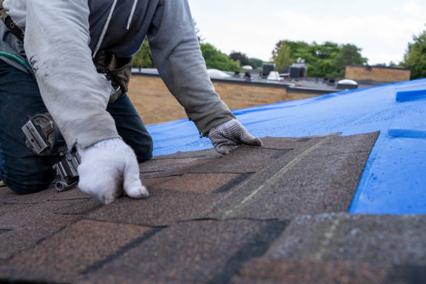 Best Metal Roofing Contractor  in Boulder Creek, CA
