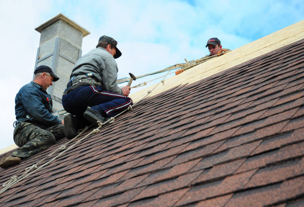 Quick and Trustworthy Emergency Roof Repair Services in Boulder Creek, CA